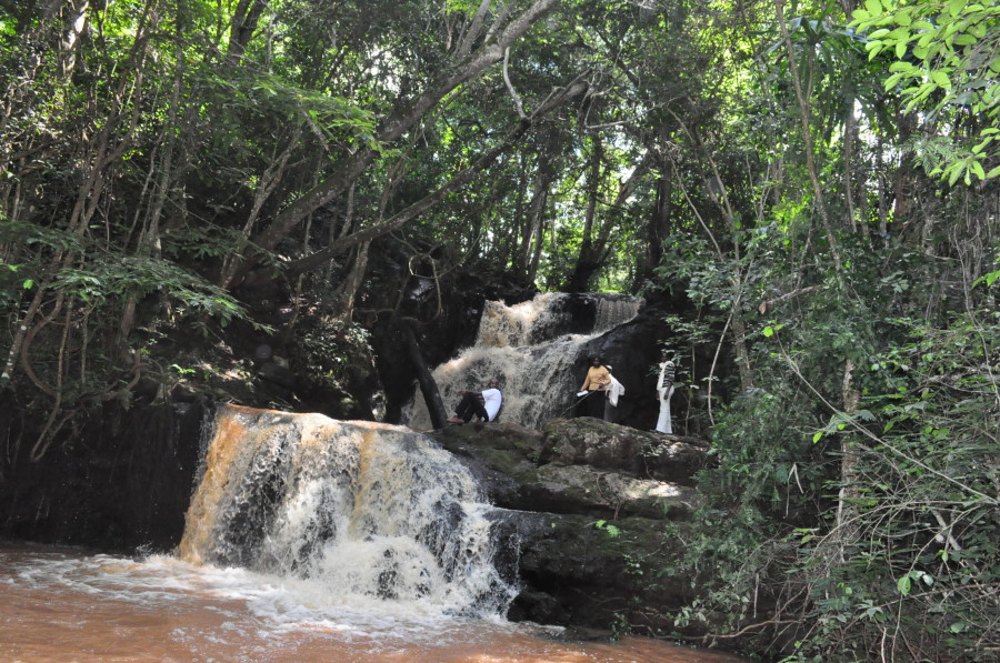 Karura forest 4