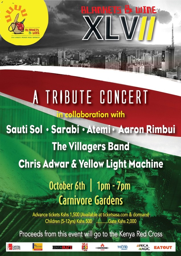 final blankets n wine charity event poster 02 09 2013-01