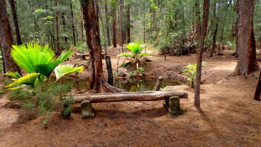 Nature Walk