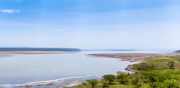 Flamingos in the saline L. Magadi © One Touch Media Kenya