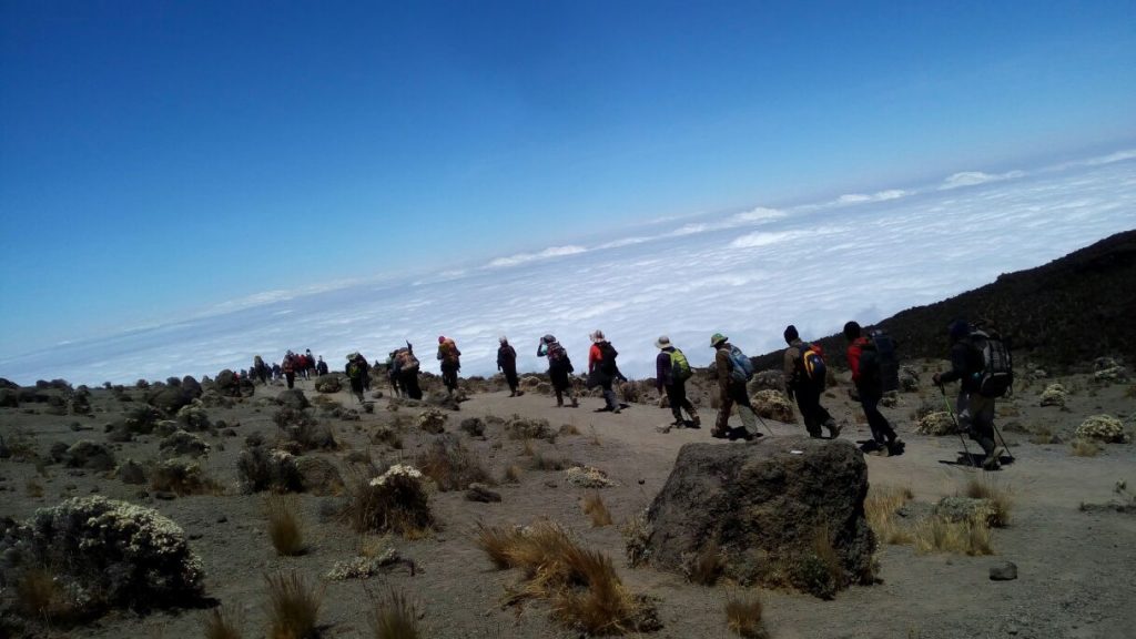 Audi and the team on the trail