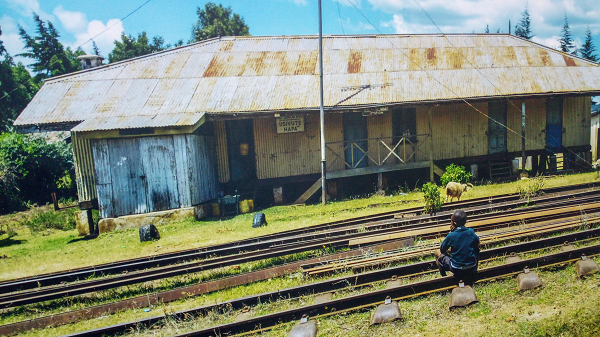 Photo taken during the Save the Railway exhibition