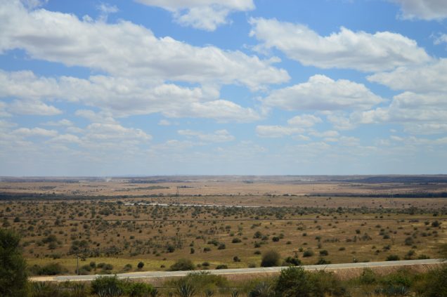 A view of the Nairobi National Park from the terrace. 